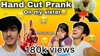 Hand cut prank on my sister😂  Prank Gone Emotional 😭  Vinod Bhatt  vb [upl. by Lavro]