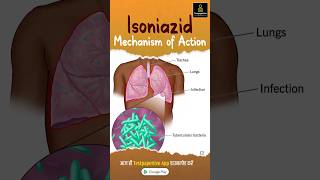 Isoniazid Mechanism of Action  AntiTB Drugs testpaperlive isoniazid tb drugs shortvideo [upl. by Asillem]