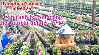 Cận cảnh bà con làng hoa Sa đéc tất bật chuẩn bị trồng hoa đón tết 2025 [upl. by Ilram]