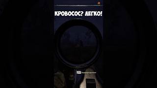 Лёгкий способ победить КРОВОСОСА в STALKER 2 stalker2 stalker2gameplay stalker2heartofchornobyl [upl. by Quintina]