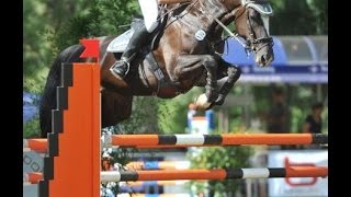 SOLD wwwsporthorsesonlinecom 2004 top amateur jumping mare 140 cm [upl. by Einaffit]