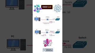 Setting Up Voice VLAN on Cisco Switches in 2024  VLAN Configuration  CCNP Training PyNetLabs [upl. by Anotal]