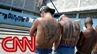 MS13 gang members Trump makes us stronger [upl. by Anaiuq]