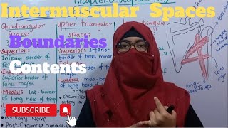 Anatomy of intermuscular Spaces  boundaries  contents  scapular region  upper limb anatomy  bdc [upl. by Suixela957]