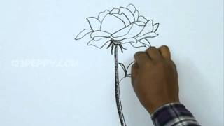 How to Draw a Rosa Rugosa [upl. by Aihsenor]