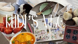 my old cat Ebisu dinner fruit parfaits journal unboxing for cats but Midis Vlog [upl. by Kemp]