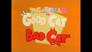 Garfield and Friends  S1 E14 Good Cat Bad Cat Part 2 [upl. by Dambro]