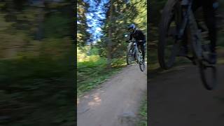 Borovets Bike Park Bulgaria Need For Speed track Botom Part is fast [upl. by Coh]