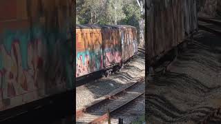 Freight train in the Adelaide Hills railway railway train australiantrains australianrail [upl. by Rehm]