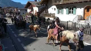 02102022 DOLOMITI FIERA DI PRIMIERO LA SFILATA DELLA DESMODEGADA CHE MERAVIGLIA [upl. by Niwrehs]