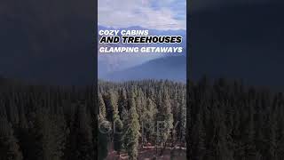 Best Cozy Cabins and Tree Houses Glamping Gateways glamping treehouse shorts [upl. by Rudie594]