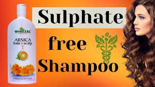 Sulphate Free Homoeopathy Shampoo  Wheezal Arnica Hair amp Scalp Treatment Review and How to Use it [upl. by Iarised]