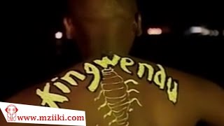 Kingwendu  Mapepe  Official Video [upl. by Marten430]