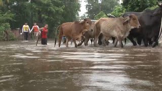 Las inundaciones en El Salvador provocan tres muertes [upl. by Tandy]