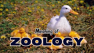 What is the meaning of Zoology [upl. by Idner]