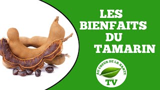 LES BIENFAITS DU TAMARIN [upl. by Redneval]