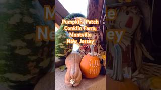 Pumpkin Patch  Harvest Season  Conklin Farm  Montville New Jersey  USA 🇺🇸 pumpkinfarm [upl. by Attirb902]