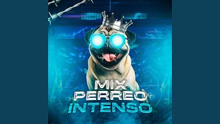 Mix Perreo Intenso [upl. by Neroc693]