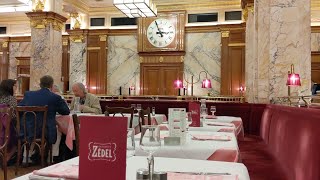 Brasserie Zédel [upl. by Alegnat]