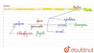 Mention a characteristic feature and a function of zoospores in some algae [upl. by Yatzeck]