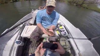 Tuckasegee River Drift Boat Fly Fishing Brown Trout [upl. by Alysa]