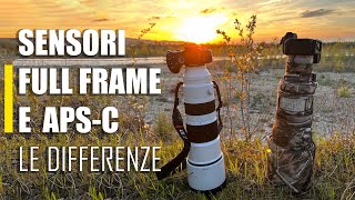 Differenze tra sensori APSC vs Full FRAME  Confronto Mirrorless nella Fotografia Naturalistica [upl. by Locke]