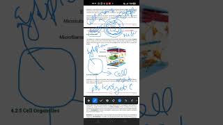 9th class chapter 4 Cytoskeleton [upl. by Otecina]