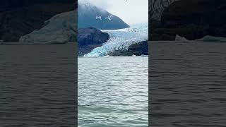 Mendenhall Glacier Juneau Alaska cruising royalcaribbean nature createcalm [upl. by Thomasin]