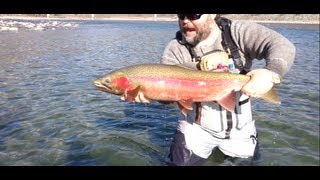 Steelhead Fishing in British Columbia Canada [upl. by Nyleuqcaj]