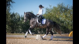 IranicoJGR in training with MariaCaetanoCouceiro  TeamRubi amp PCITeam [upl. by Pearle]