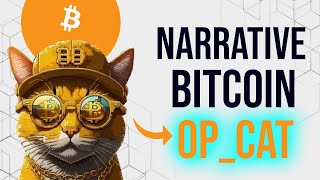 BITCOIN OPCAT  UPGRADE TERBESAR DI DUNIA CRYPTO [upl. by Petrina]