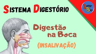 Digestão na Boca  Insalivação [upl. by Llyrrad291]