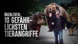 Wie überlebt man die 10 gefährlichsten Tierangriffe [upl. by Tak]