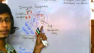 Vaccines part 1  what is vaccination [upl. by Meer]