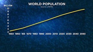 ONU a giorni la popolazione mondiale raggiungerà gli 8 miliardi [upl. by Ydnolem122]