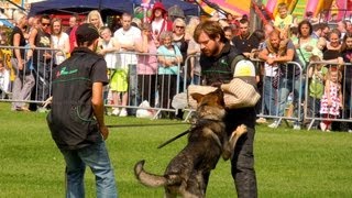 Schutzhund in Action Working Dog Show [upl. by Landers]