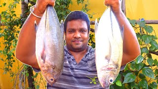 4 Kg Fish Fry Recipe  Full Fish Fry Cooking and Eating  Whole Fish Fry  Power Pondy Foodies [upl. by Piegari581]