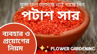 পটাশ সারের ব্যবহার  Potash Fertilizer Usage  Best Chemical Fertilizer For Flowering Plants [upl. by Nancie]