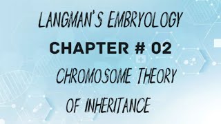 mixupstudy2949 Langmans Embryology Chapter  02 Chromosome theory of Inheritance [upl. by Stubstad]