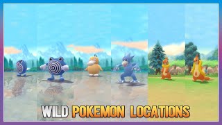 Pokémon BDSP  PoliwagPoliwhirlPsyduckGolduckBuizel amp Floatzel Locations [upl. by Ahsieat]