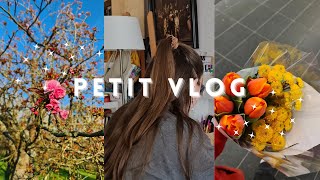 Petit vlog en attendant une analyse [upl. by Yvaht]