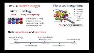 SIR1001 Fundamental Microbiology lecture one [upl. by Saire]