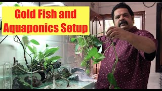 What is Aquaponics How it Works Aquaponics For Beginners  Goldfish amp aquaponics waterfall Setup [upl. by Enelrats231]