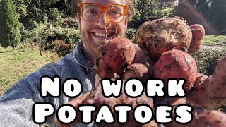 No Work TONS of Potatoes [upl. by Solana835]