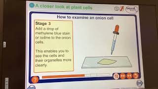 KS4GCSEBiologyCells Microscope practical [upl. by Anuahsal935]