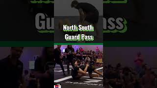 North South Guard Pass bjj jiujitsu [upl. by Ricca]