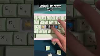 Lubed Gateron Yellow vs Black vs Red vs Blue on TM680 keyboard [upl. by Azelea]