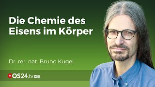 Chemische Komplexität im Körper Dr Bruno Kugel enthüllt die Wahrheit über Eisenmangel  QS24 [upl. by Htebesile]