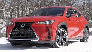 2019 Lexus UX 200 Review [upl. by Namra]