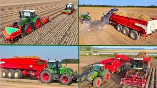 Busy Harvest day at Franzen Farms  Windrowing amp Loading Onions  Lifting Potatos and Sugar Beet [upl. by Duomham]